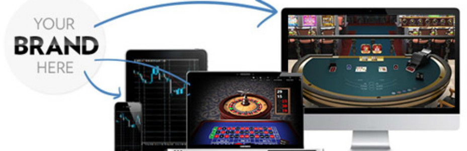 Software de casino de marca blanca para un negocio rentable